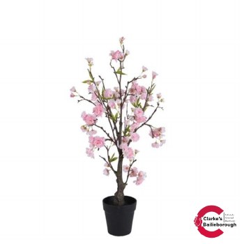Cherry Blossom Tree Pink 70cm