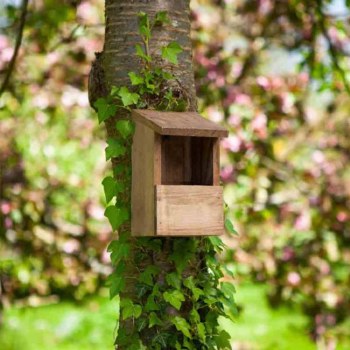 Classic Robin Wooden Nest Box