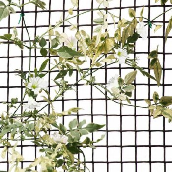 Climbing Plant & Fencing Mesh 20mm, 1 x 5m Brown