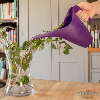 No-Spill Spouted Watering Jug Purple