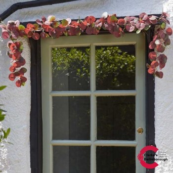 Eucalyptus Garland Violet