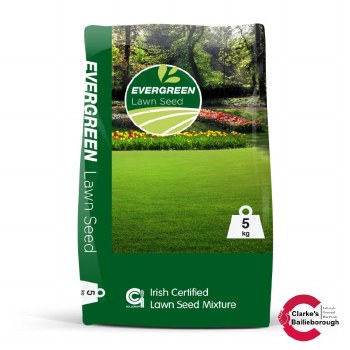 Evergreen No2 Lawn Seed 5kg