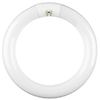 Eveready T9 22W Circular Bulb