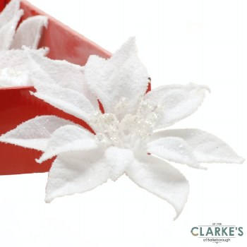 White Poinsttia Decoration 19 cm