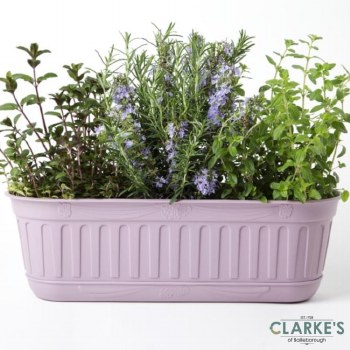 Etika Planter Pot with Water Reservoir Lavender 49cm