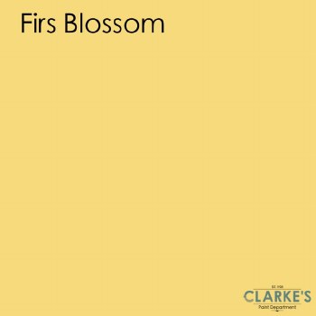 Fleetwood First Blossom Colour Soft Sheen 1 Litre