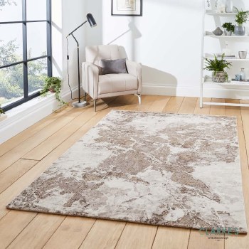 Florence 50033 Beige/Silver Rug 160 x 220cm