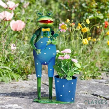 Flower Frog Planting Pot Garden Decoration