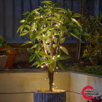 Solar String 200 Warm White LED Garden Lights