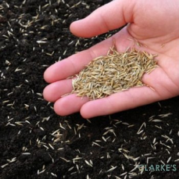 Goulding No.2 Front Lawn Seed 10 Kg