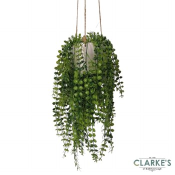 Hanging Necklace Plant with White Pot