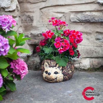 Hedgehog Planter
