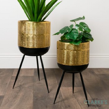 Iris Planters Gold