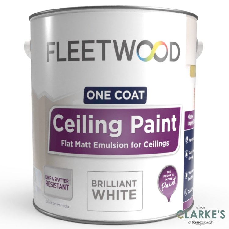 ceiling paint white 5l