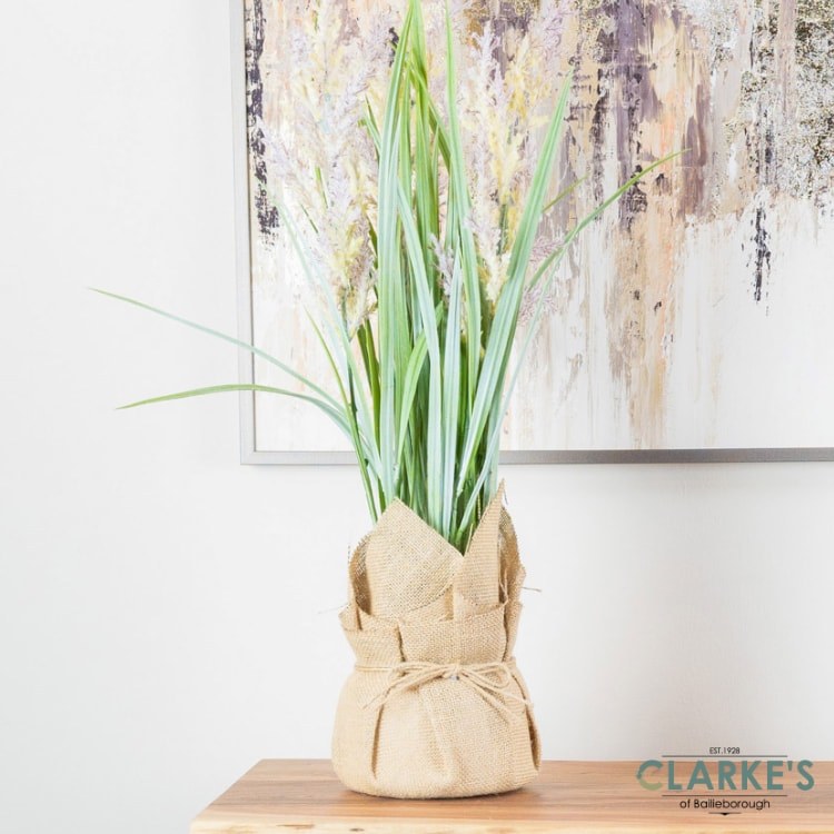 Decorative pampas grass discount