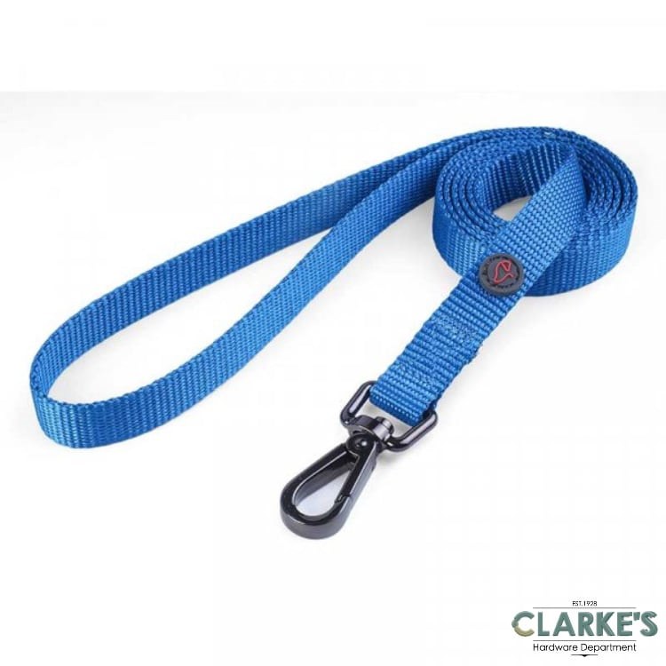 blue dog lead