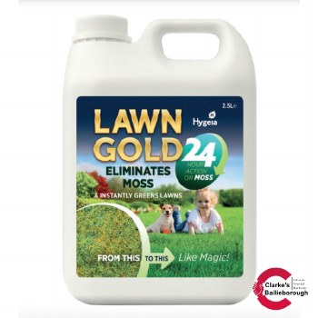 Lawn Gold 24 2.5 Litre
