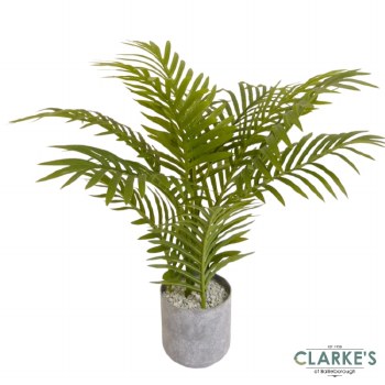 Mini Palm Tree 45cm