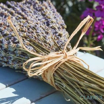 Natural Raffina String 100g