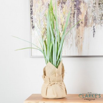 Pampas Grass with Sack Pot Decoration