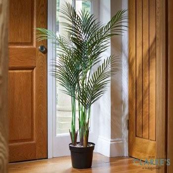 Pheonix Palm - Faux Indoor Plant 124cm