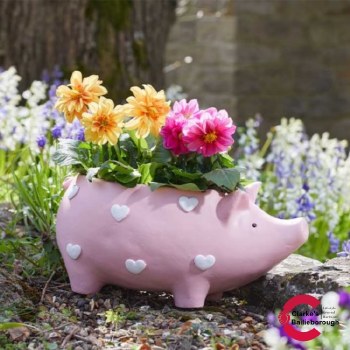 Piggy Flower Planter