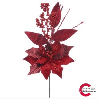 Poinsettia Steam Burgundy 69cm