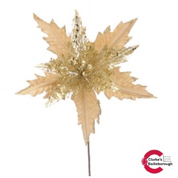 Poinsettia Steam Gold 69cm