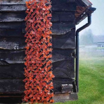 Artificial Red Acer Leaf Trellis 180 x 90 cm