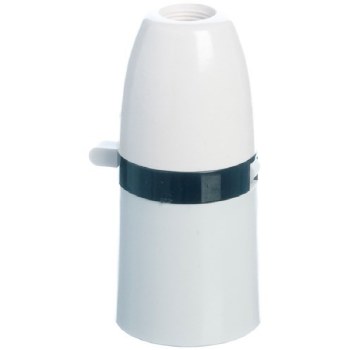 Screw & Switched Lamp Holder
