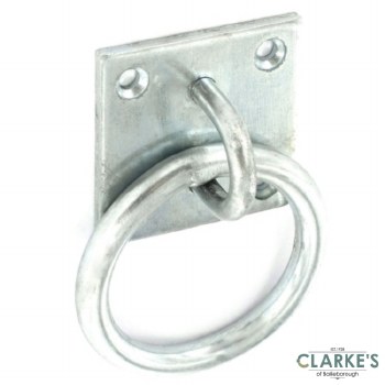Securit Ring on Plate 50mm