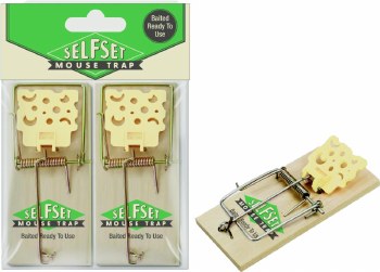 Selfset Mouse Trap