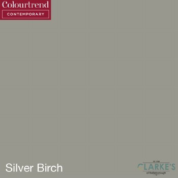 Colourtrend Contemporary Ceramic Matt Silver Birch Colour 1 Litre