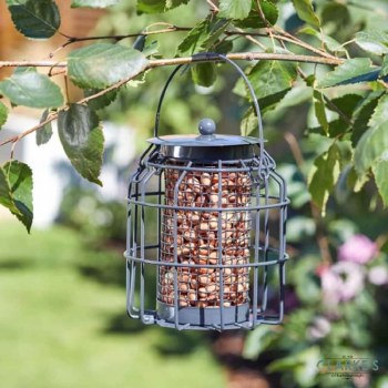 Compact Peanut Feeder