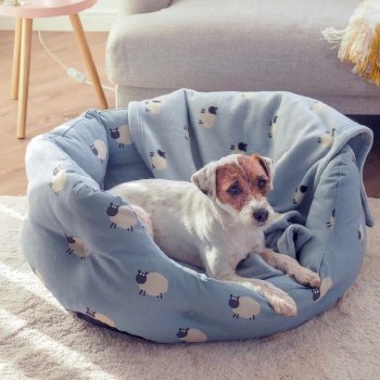 Counting Sheep Oval Dog Bed Medium