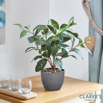 Leopard Lily - Faux Indoor Plant 70cm