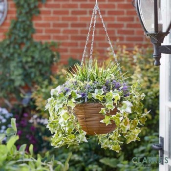Regal Hanging Basket - Lilac Bloom