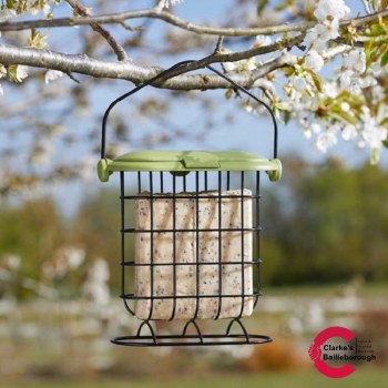 Suet Cake Feeder