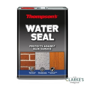 Thompson's Water Seal 5 Litre