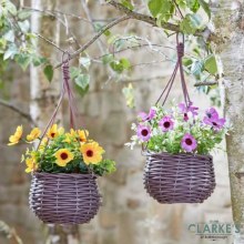 Meadow - Hanging Basket Bouquet Yellow
