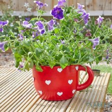 Teacup Heart Planter - Garden Decoration