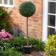 Picture of Uno Topiary Tree Garden Decor 120cm