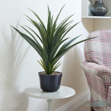 Spiky Sisal - Faux Indoor Plant 62cm