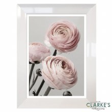 Pink Roses - Framed Wall Art 63 x 83 cm