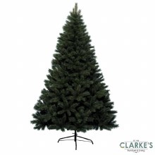 Canada Spruce Christmas Tree 8ft Canada Spruce Christmas Tree 8ft