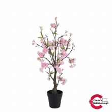 Cherry Blossom Tree Pink 70cm