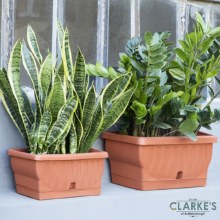 Natura Planter Pot with Water Reservoir Terracotta 40cm Natura Planter Pot with Water Reservoir Terracotta 40cm