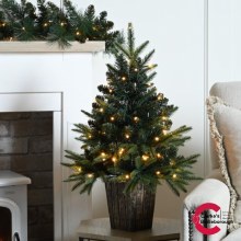 Firefly Pre-Lit Christmas Tree 60cm Firefly Pre-Lit Christmas Tree 60cm