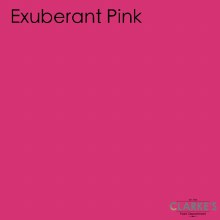 Fleetwood Exubeant Pink Colour Soft Sheen 1 Litre