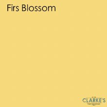 Fleetwood First Blossom Colour Soft Sheen 1 Litre